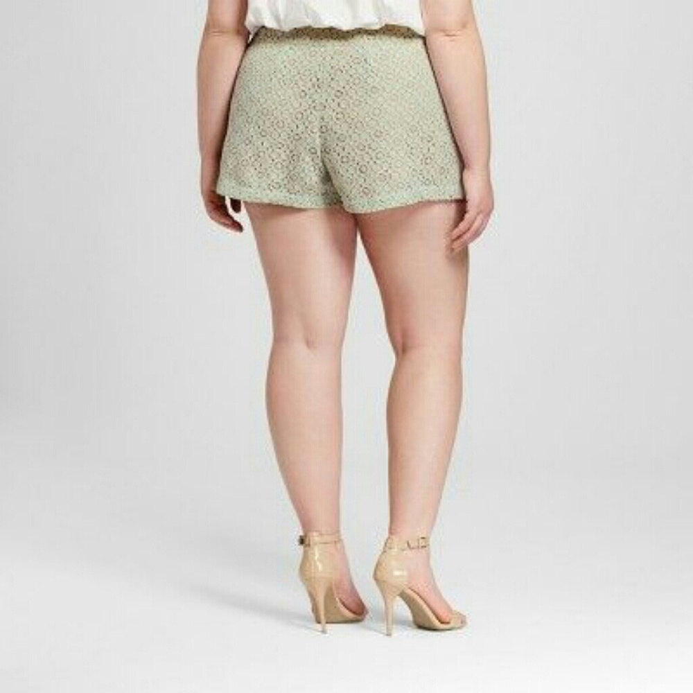 Victoria Beckham for Target Lace Mint Shorts - Picture 2 of 4